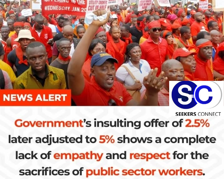 Untitled design (22)