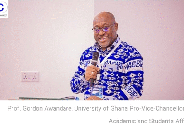 Untitled design (33)