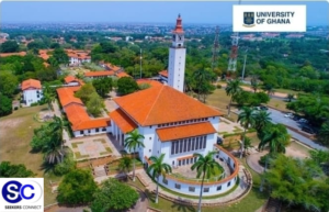 Untitled design (36)