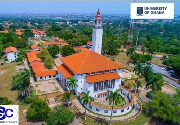 Untitled design (36)