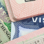 Untitled design (42)