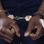 Arrested_compressed